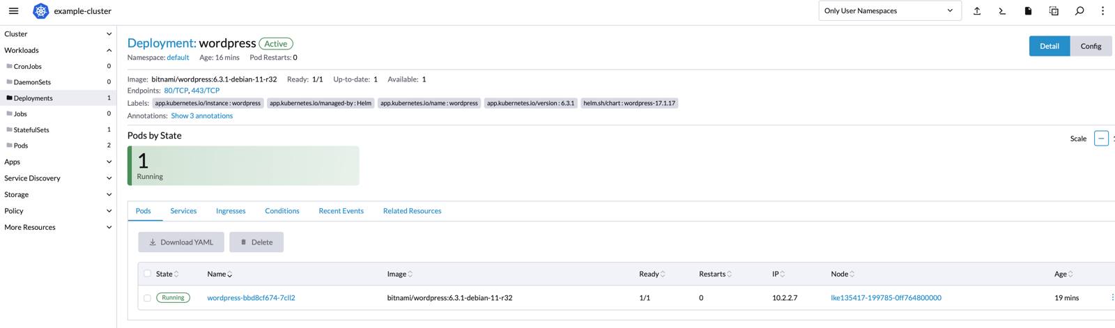 Rancher app detail view - NodeBalancer HTTP endpoint highlighted