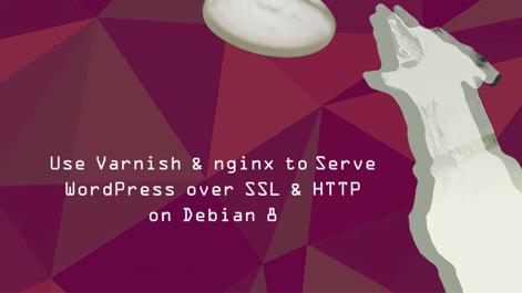 use_varnish_nginx_to_serve_wordpress_over_ssl_http_on_debian_8.png